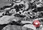 Standbild Nomaden Iran, 1944, aus Sekunde 52 historischem Filmmaterial Videoclip 65675041201