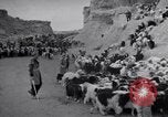 Standbild Nomaden Iran, 1944, aus Sekunde 55 historischem Filmmaterial Videoclip 65675041201