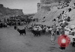 Standbild Nomaden Iran, 1944, aus Sekunde 58 historischem Filmmaterial Videoclip 65675041201