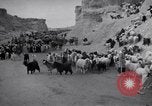 Standbild Nomaden Iran, 1944, aus Sekunde 59 historischem Filmmaterial Videoclip 65675041201