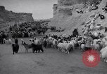 Standbild Nomaden Iran, 1944, aus Sekunde 60 historischem Filmmaterial Videoclip 65675041201