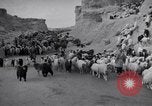 Standbild Nomaden Iran, 1944, aus Sekunde 61 historischem Filmmaterial Videoclip 65675041201
