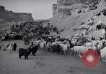 Standbild Nomaden Iran, 1944, aus Sekunde 62 historischem Filmmaterial Videoclip 65675041201