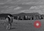 Standbild Nomaden Iran, 1944, aus Sekunde 1 historischem Filmmaterial Videoclip 65675041202