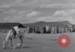 Standbild Nomaden Iran, 1944, aus Sekunde 7 historischem Filmmaterial Videoclip 65675041202