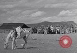 Standbild Nomaden Iran, 1944, aus Sekunde 10 historischem Filmmaterial Videoclip 65675041202