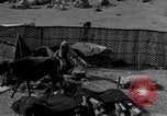 Standbild Nomaden Iran, 1944, aus Sekunde 58 historischem Filmmaterial Videoclip 65675041202