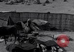Standbild Nomaden Iran, 1944, aus Sekunde 59 historischem Filmmaterial Videoclip 65675041202