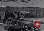 Standbild Nomaden Iran, 1944, aus Sekunde 61 historischem Filmmaterial Videoclip 65675041202