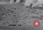 Image of Iranian farmers harvest grain Iran, 1944, second 12 stock footage video 65675041203
