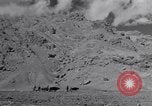 Image of Iranian farmers harvest grain Iran, 1944, second 13 stock footage video 65675041203