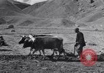 Image of Iranian farmers harvest grain Iran, 1944, second 25 stock footage video 65675041203