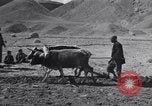Image of Iranian farmers harvest grain Iran, 1944, second 26 stock footage video 65675041203