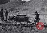 Image of Iranian farmers harvest grain Iran, 1944, second 27 stock footage video 65675041203
