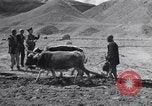 Image of Iranian farmers harvest grain Iran, 1944, second 28 stock footage video 65675041203