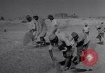 Image of Iranian farmers harvest grain Iran, 1944, second 49 stock footage video 65675041203