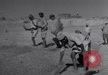 Image of Iranian farmers harvest grain Iran, 1944, second 50 stock footage video 65675041203