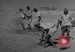 Image of Iranian farmers harvest grain Iran, 1944, second 53 stock footage video 65675041203
