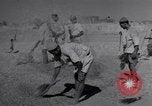 Image of Iranian farmers harvest grain Iran, 1944, second 55 stock footage video 65675041203