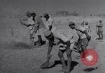 Image of Iranian farmers harvest grain Iran, 1944, second 56 stock footage video 65675041203