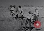 Image of Iranian farmers harvest grain Iran, 1944, second 58 stock footage video 65675041203