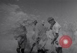 Image of Iranian farmers harvest grain Iran, 1944, second 62 stock footage video 65675041203