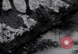 Image of Engineers Iran, 1944, second 1 stock footage video 65675041205