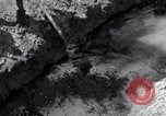 Image of Engineers Iran, 1944, second 3 stock footage video 65675041205