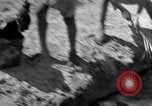 Image of Engineers Iran, 1944, second 5 stock footage video 65675041205