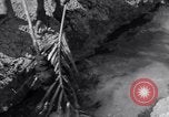 Image of Engineers Iran, 1944, second 13 stock footage video 65675041205