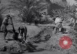 Image of Engineers Iran, 1944, second 15 stock footage video 65675041205