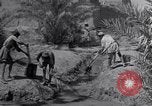Image of Engineers Iran, 1944, second 16 stock footage video 65675041205