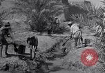 Image of Engineers Iran, 1944, second 17 stock footage video 65675041205
