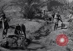 Image of Engineers Iran, 1944, second 25 stock footage video 65675041205