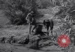 Image of Engineers Iran, 1944, second 40 stock footage video 65675041205