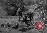 Image of Engineers Iran, 1944, second 41 stock footage video 65675041205