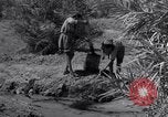 Image of Engineers Iran, 1944, second 42 stock footage video 65675041205