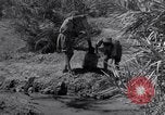 Image of Engineers Iran, 1944, second 43 stock footage video 65675041205