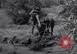 Image of Engineers Iran, 1944, second 44 stock footage video 65675041205