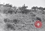 Immagine di Generale Obregon El Paso Texas USA, 1916, secondo 44 filmato di repertorio 65675041207