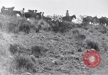 Immagine di Generale Obregon El Paso Texas USA, 1916, secondo 45 filmato di repertorio 65675041207