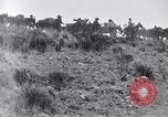 Immagine di Generale Obregon El Paso Texas USA, 1916, secondo 49 filmato di repertorio 65675041207