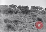Immagine di Generale Obregon El Paso Texas USA, 1916, secondo 53 filmato di repertorio 65675041207