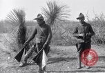 Standbild 24 Infanterie- Regiments während der Mexikanischen Expedition Mexiko, 1916, aus Sekunde 27 historischem Filmmaterial Videoclip 65675041208