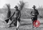 Standbild 24 Infanterie- Regiments während der Mexikanischen Expedition Mexiko, 1916, aus Sekunde 30 historischem Filmmaterial Videoclip 65675041208
