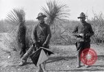 Standbild 24 Infanterie- Regiments während der Mexikanischen Expedition Mexiko, 1916, aus Sekunde 31 historischem Filmmaterial Videoclip 65675041208