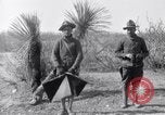 Standbild 24 Infanterie- Regiments während der Mexikanischen Expedition Mexiko, 1916, aus Sekunde 32 historischem Filmmaterial Videoclip 65675041208