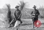 Standbild 24 Infanterie- Regiments während der Mexikanischen Expedition Mexiko, 1916, aus Sekunde 35 historischem Filmmaterial Videoclip 65675041208