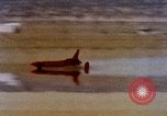 Image of rocket powered car California United States USA, 1979, second 33 stock footage video 65675041225