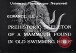 Standbild Skelett von Mammut Kewanee Illinois United States USA, 1933, aus Sekunde 4 historischem Filmmaterial Videoclip 65675041252